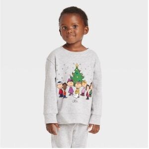 Peanuts Gray Holiday Sweatshirt for Kids boy or girl 3T long sleeve crewneck nwt